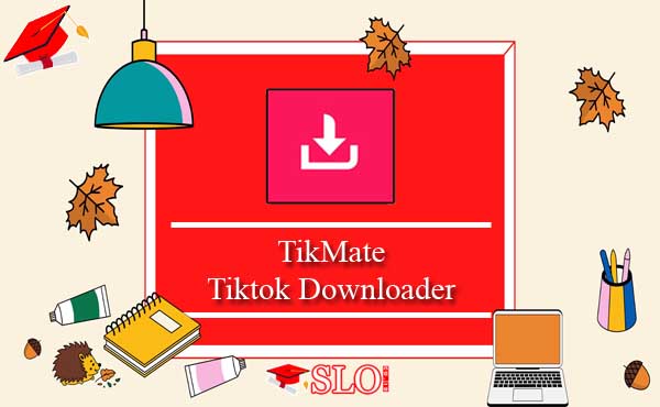 Tikmate Tiktok Downloader