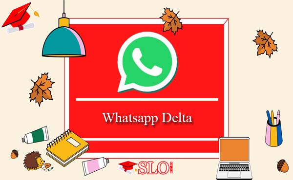 Whatsapp Delta
